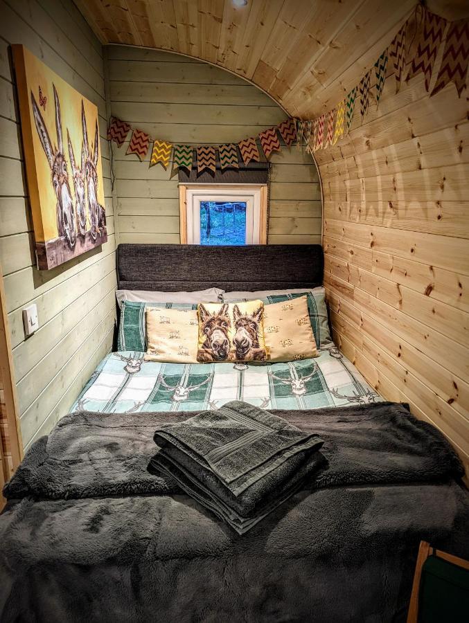 Emlyn'S Coppice - Luxury Woodland Glamping Villa Holywell  Luaran gambar