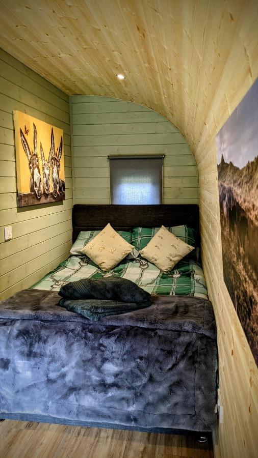 Emlyn'S Coppice - Luxury Woodland Glamping Villa Holywell  Luaran gambar